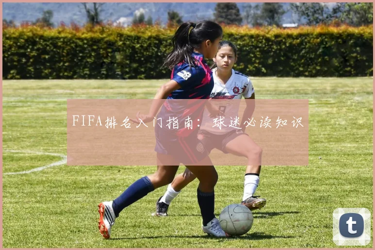 FIFA排名入门指南:球迷必读知识