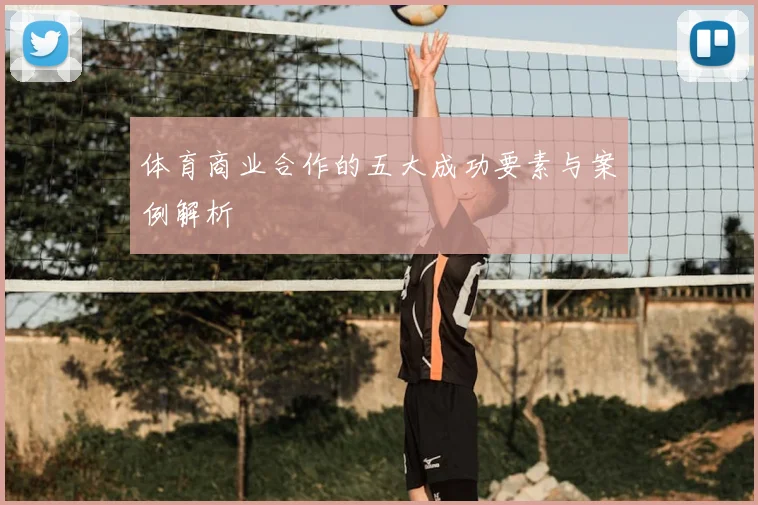 体育商业合作的五大成功要素与案例解析