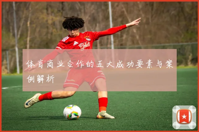 体育商业合作的五大成功要素与案例解析
