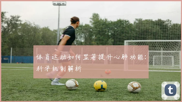 体育运动如何显著提升心肺功能:科学机制解析