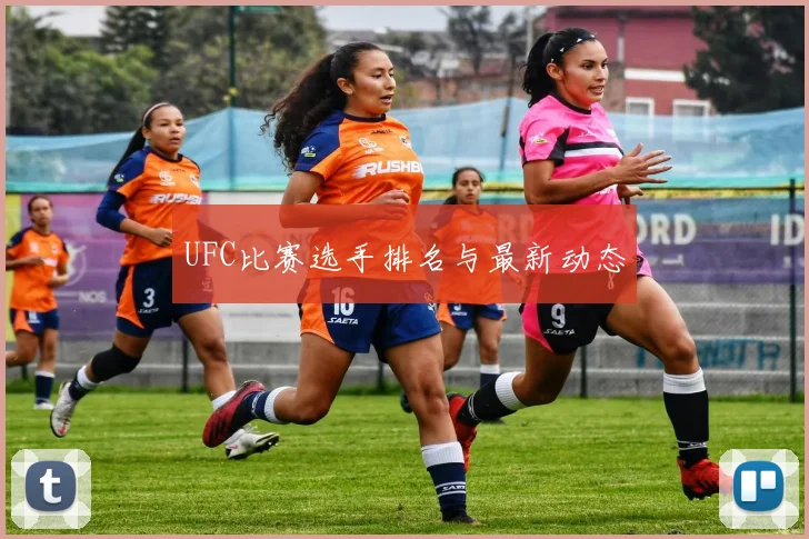 UFC比赛选手排名与最新动态
